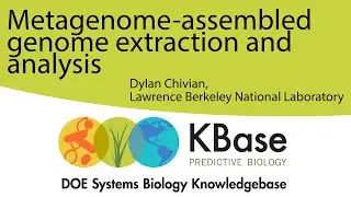 Metagenome-assembled Genome Extraction and Analysis
