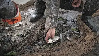 Seine fishing on the backwater part 2. HARD WORK