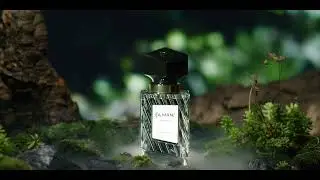 SHAMAN / ANOMALIA PARIS