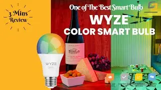 Wyze Color Smart Bulb In-Depth Review: One of the Best Smart Bulb in 2022