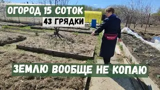 Я вообще не перекапываю землю в огороде. Показываю весь участок. Голая земля - мертвая земля.