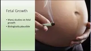 But It's LEGAL! The Data on Marijuana Use in Pregnancy & How to Counsel Patients Who Use