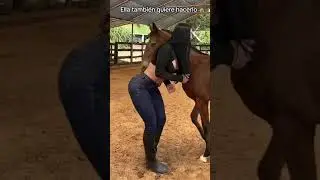 FINAL EPICO!! Diversión Asegurada!! 😋🤣Videos de Risa 😁 Si te ríes Pierdes 