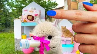 Rescued The CUTEST Pet EVER ! Building a New Amazing Pet House for cats