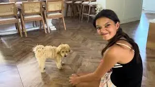 MASAL VE ÖYKÜ İLE BİR GÜN / Köpek maması denedik