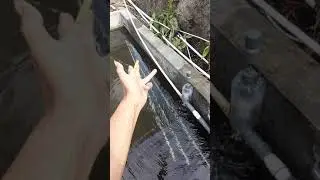 Hidram mini / hydram terkecil. Pompa air tanpa listrik tanpa BBM. lihat aja...