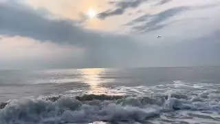 August 8 8:03am Vilano Beach Florida Saint Augustine Video Journal ~ I woke up before the sunrise