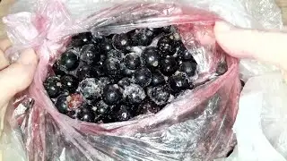 СМОРОДИНА засыпет вас крупными и СЛАДКИМИ ягодами, если весной подкормить ЭТИМ