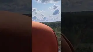 Говорит доктор Боровских. В этом мире всё идёт так, как надо.