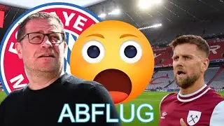 BAYERN VERLIERT TOP-STAR! FÜLLKRUGS ENGLAND-ABENTEUER UND DAVIES' UNGEWISSE ZUKUNFT IM WINTER
