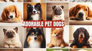 Adorable Pet Dogs From Tiny Paws to Gentle Giants