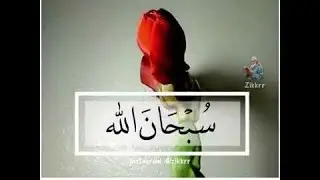 ذكر || سبحان الله و الحمدلله و لا إله إلا الله و الله أكبر || حالات واتس دينية || Quran Status 💙
