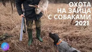 Охота 2021: Охота на зайца (Закрытие)