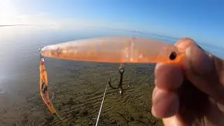 Surface Fishing For Whiting!?!
