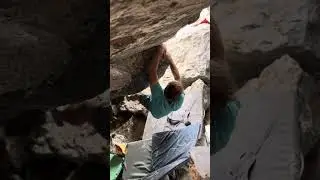 Skipper Roof Right V10