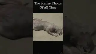 What Is This? (Scariest Photos Ever!) 