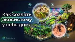 НАШ САМЫЙ БОЛЬШОЙ ТЕРРАРИУМ, КТО БУДЕТ В НЕМ ЖИТЬ?