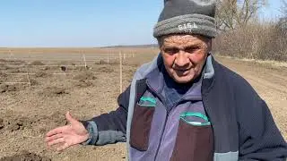 Посадка интенсивного сада черешни , груши и персика. Винницкой обл.
