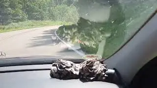 Крутые  повороты, спуск  с горы.