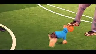 Bently a future soccer player!