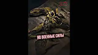 Операция Бамблби 