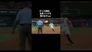 tiktok  @amawa hawaii