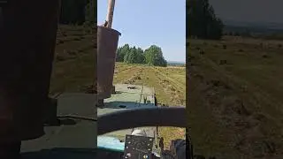 сенокос 