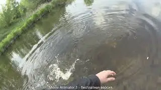 Вот так клюнула