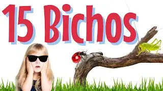 APRENDE 15 tipos de BICHOS - #forkids Para niños