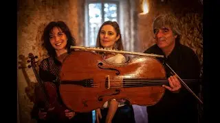 trio londonien  Haydn  flute, violon, violoncelle