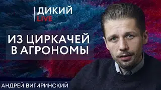 Прощание с иллюзиями или дезориентация. Андрей Вигиринский. Дикий LIVE.