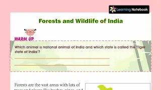 Class 4 Forests and Wildlife of India