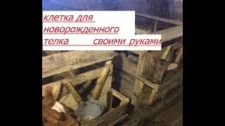 Клетка для новорожденного теленка своими руками.