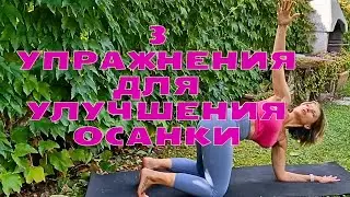 3 упражнения для здоровой ОСАНКИ.