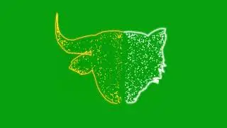 Bull Bear with stars (Stock Market) | Green Screen Library