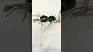 Уровень электрика