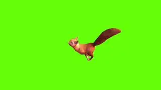 left running squirrel green screen।cartoon green screen। spider green screen। ostad animation