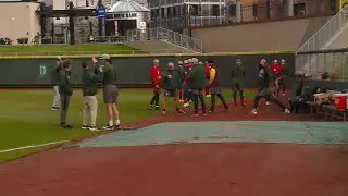TinCaps Baseball