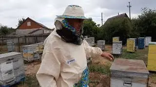 Итоги сезона и пчеловодное братство