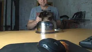 Сэмии , Бетти и кот Кузька барабанщики.