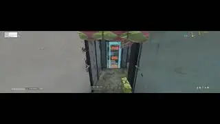 DayZ Kill
