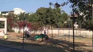 Bower aka Maandavo Building TimeLapse