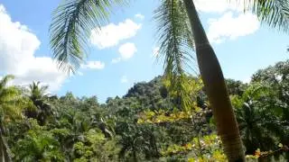 DSC 0207