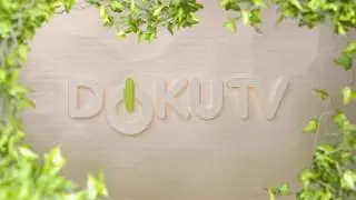 DokuTV IDENT PACKAGE