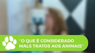O QUE É CONSIDERADO MALS TRATOS AOS ANIMAIS?