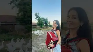 Утро в деревне🤣 #песня #аккордеон #триаккорда #музыка #аккордеонист #shorts