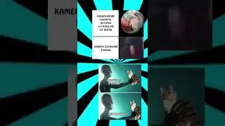 #мем