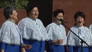 Концерт  СельхозЯрмарка г Балаково  ‎2014 ‎г