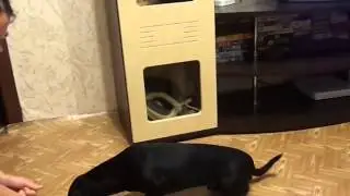 учимся 