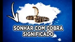 SONHAR COM COBRAS | Qual o Significado de Sonhar com Cobras? Confira Aqui Eu Te Responderei! ☑️